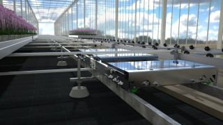 2d-Shuttle-on-x-track-greenhouse-automation-Logiqs-BV