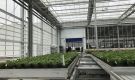 HOVE-International-Bayview-Flowers-2017-Greenhouse-bench-system-11