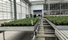 HOVE-International-Bayview-Flowers-2017-Greenhouse-bench-system-15