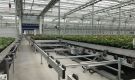 HOVE-International-Bayview-Flowers-2017-Greenhouse-bench-system-17