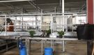 HOVE-International-Bayview-Flowers-2017-Greenhouse-bench-system-19