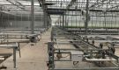 HOVE-International-Bayview-Flowers-2017-Greenhouse-bench-system-23