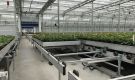 HOVE-International-Bayview-Flowers-2017-Greenhouse-bench-system-26