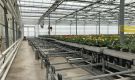 HOVE-International-Bayview-Flowers-2017-Greenhouse-bench-system-27