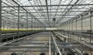 HOVE-International-Bayview-Flowers-2017-Greenhouse-bench-system-28