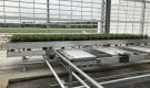 HOVE-International-Bayview-Flowers-2017-Greenhouse-bench-system-3