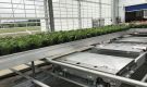 HOVE-International-Bayview-Flowers-2017-Greenhouse-bench-system-31