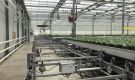 HOVE-International-Bayview-Flowers-2017-Greenhouse-bench-system-33