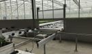HOVE-International-Bayview-Flowers-2017-Greenhouse-bench-system-37