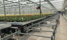 HOVE-International-Bayview-Flowers-2017-Greenhouse-bench-system-38