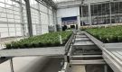 HOVE-International-Bayview-Flowers-2017-Greenhouse-bench-system-7