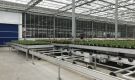 HOVE-International-Bayview-Flowers-2017-Greenhouse-bench-system-9
