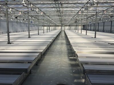 7Acres-HOVE-Cannabench-references5