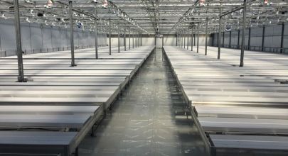 7Acres-HOVE-Cannabench-references5