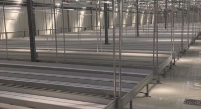 7Acres-HOVE-Cannabench-references7